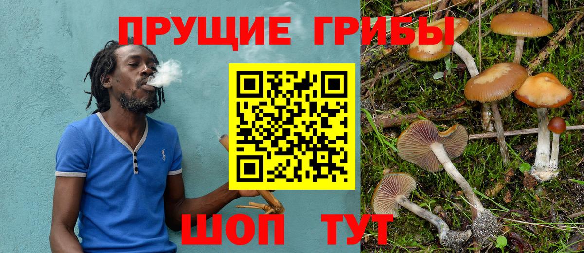 Псилоцибиновые грибы Астрахань