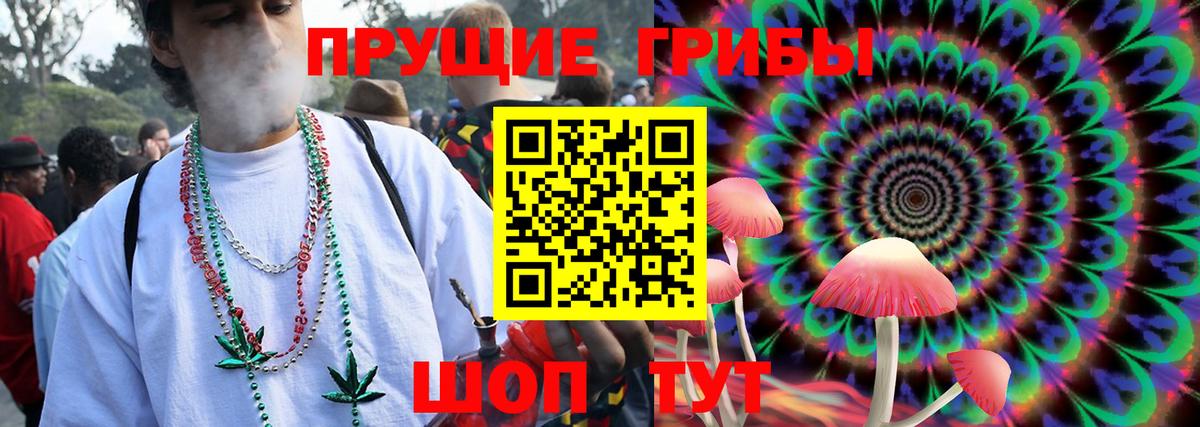 Астрахань  Галлюциногенные грибы прущие грибы  Вход с VPN 
